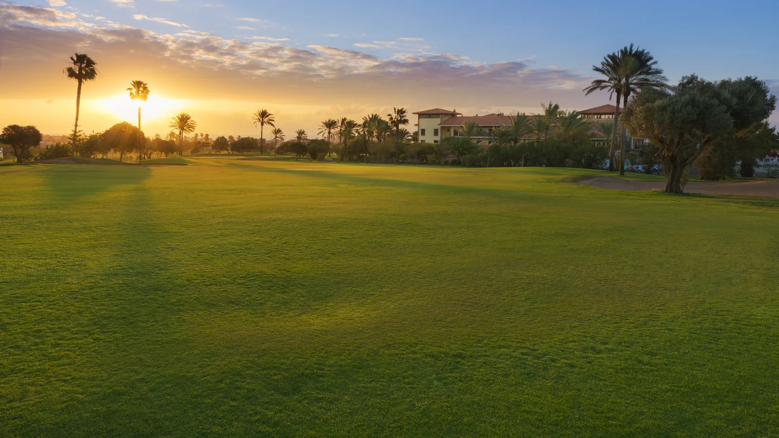 Calle del campo de Fuerteventura Golf Club al atardecer: césped iluminado por el sol bajo, palmeras y un edificio de tejado rojo al fondo