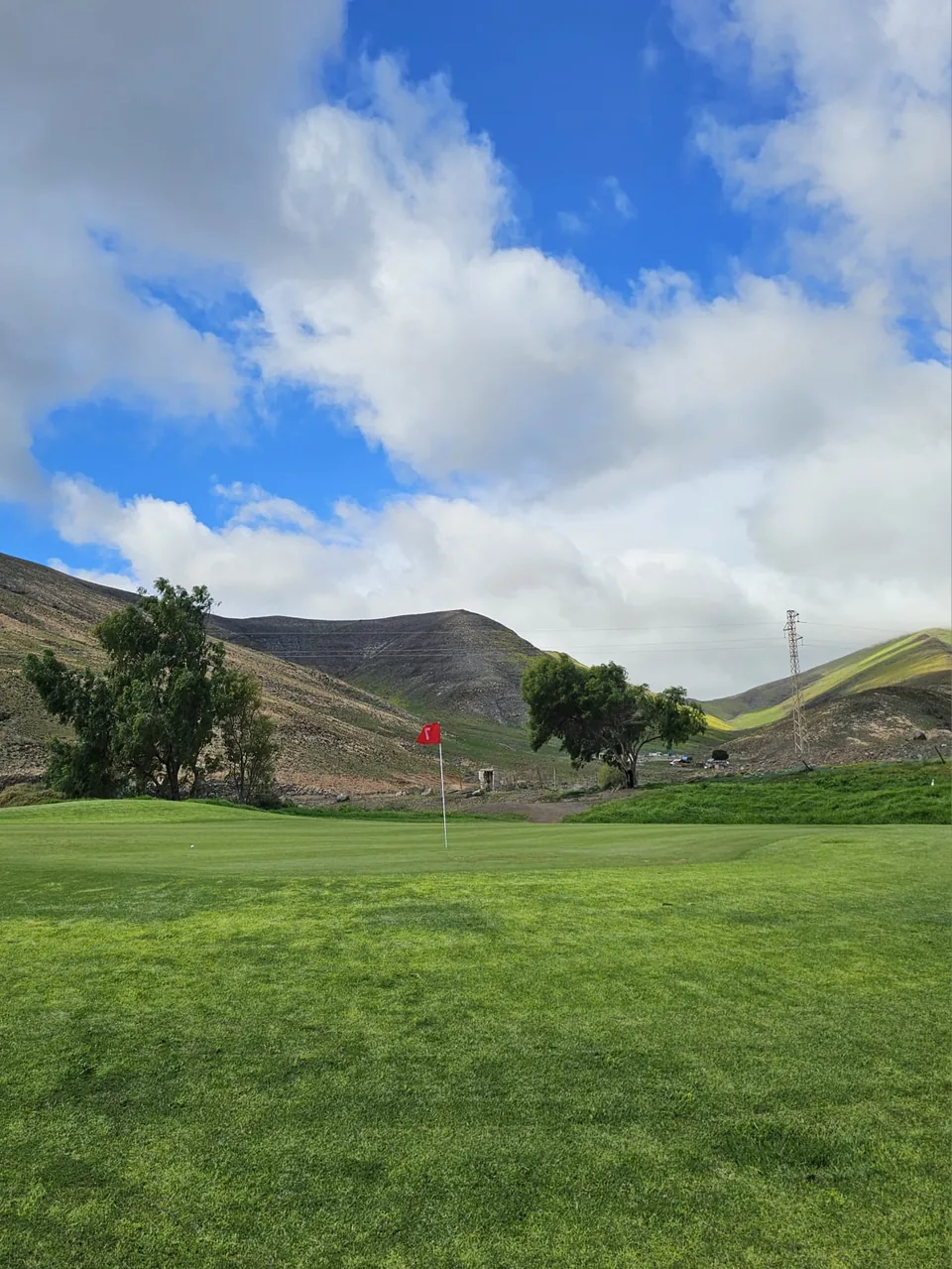 Green and flag among mountains