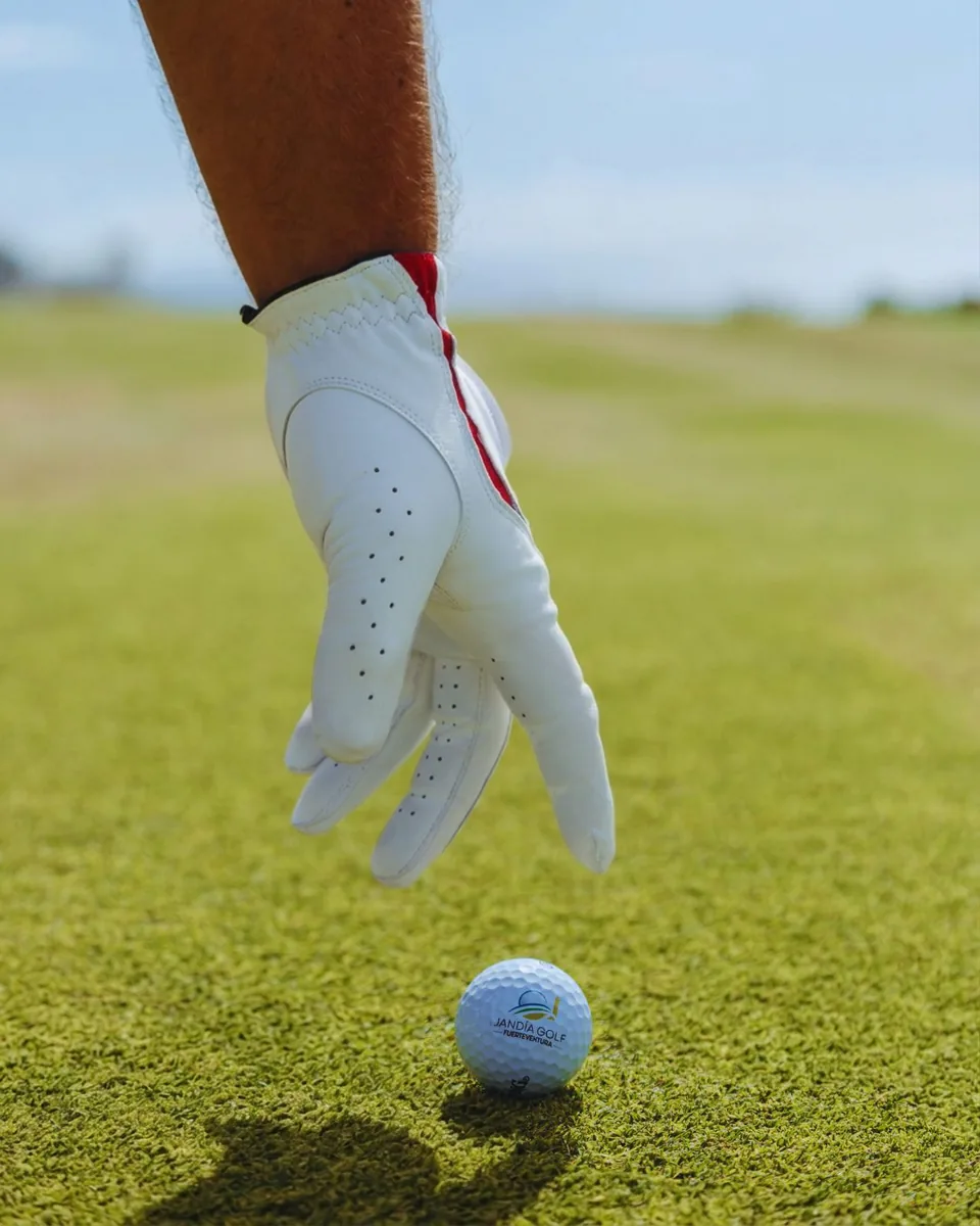Gloved hand beside a golf ball